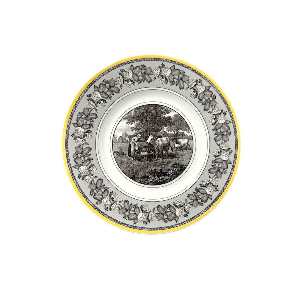 Villeroy & Boch Audun Ferme‎ Salad Dessert Plate 8.6” Germany Unused